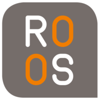 ROOS IT GmbH & Co. KG